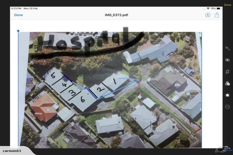 Photo of property in 52 Buscomb Avenue, Henderson, Auckland, 0610