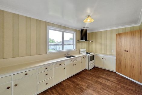 Photo of property in 52 Birmingham Street, Takaro, Palmerston North, 4412