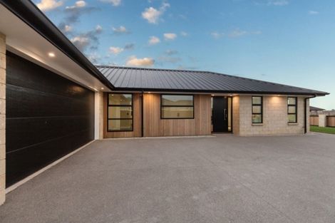 Photo of property in 10 Costello Drive, Ngatea, 3503