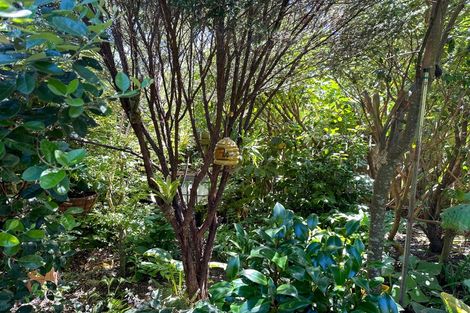 Photo of property in 12 Mcdonald Place, Collingwood, 7073