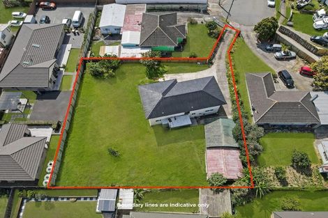 Photo of property in 15 Burbridge Road, Favona, Auckland, 2024