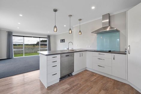 Photo of property in 11 Maury Place, Foxton, 4814