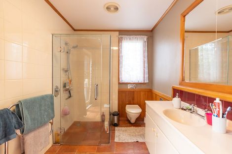 Photo of property in 54 Brightwater Terrace, Terrace End, Palmerston North, 4410