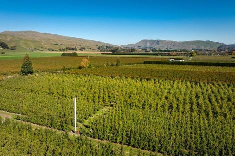 Photo of property in 83 Mount Erin Road, Pukahu, Hastings, 4172