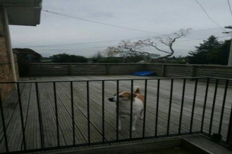 Photo of property in 49 Livingstone Avenue, Nawton, Hamilton, 3200