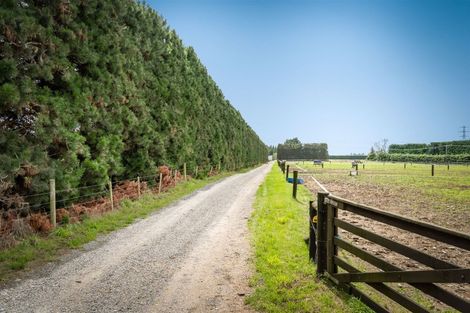 Photo of property in 496 Knyvetts Road, Southbridge, Leeston, 7682