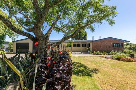 Photo of property in 55 Pitt Road, Hillsborough, New Plymouth, 4372