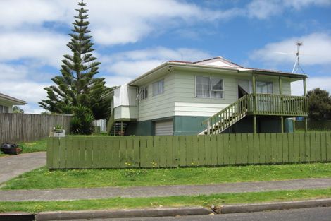 Photo of property in 4 Frank Hewitt Street, Pukekohe, 2120