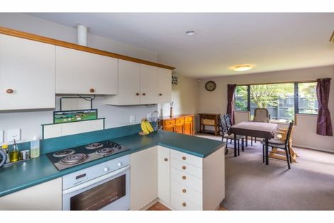 Photo of property in 128a Mcfaddens Road, St Albans, Christchurch, 8052