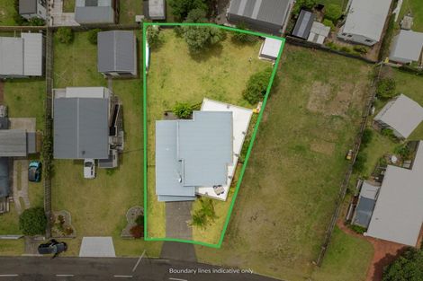 Photo of property in 116 Patuwai Drive, Whangamata, 3620