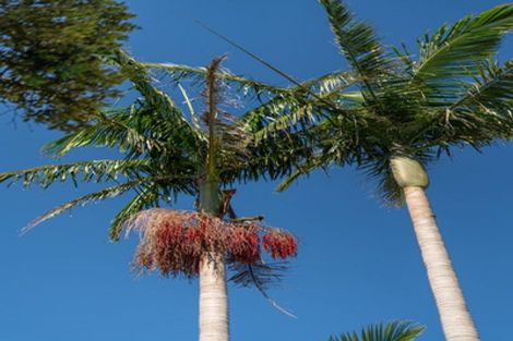 Photo of property in 3 Wigmore Crescent, Hahei, Whitianga, 3591