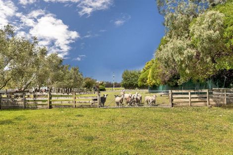 Photo of property in 86 Rarangi Road, Rarangi, Blenheim, 7273