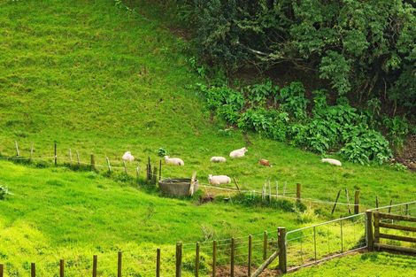 Photo of property in 4 Cannell Farm Drive, Te Puke, 3119