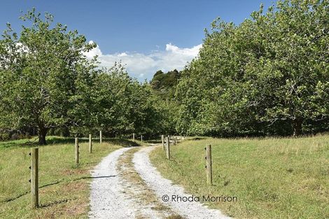 Photo of property in 535 Whakapirau Road, Whakapirau, Maungaturoto, 0583