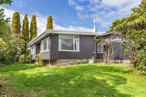 Photo of property in 20 Argyle Avenue, Levin, 5510
