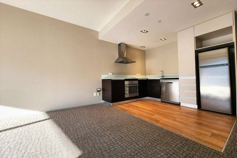 Photo of property in Revolucion Apartments, 206/28s Torrens Terrace, Mount Cook, Wellington, 6011