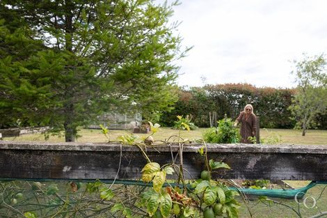 Photo of property in 99c Ross Road, Whakamarama, Tauranga, 3179