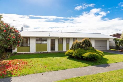 Photo of property in 24 Moran Street, Redwoodtown, Blenheim, 7201