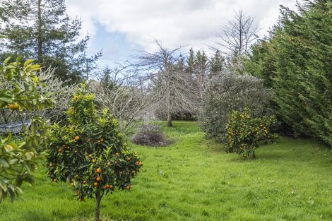 Photo of property in 25 Bawden Road, Dairy Flat, Albany, 0792