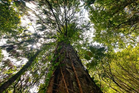 Photo of property in 120 Brickfield Road, Seaview, Hokitika, 7882