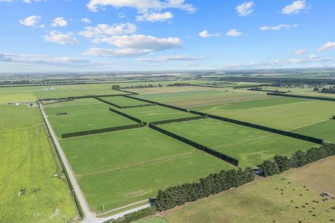 Photo of property in 146 Chatmos Road, Willowby, Ashburton, 7773