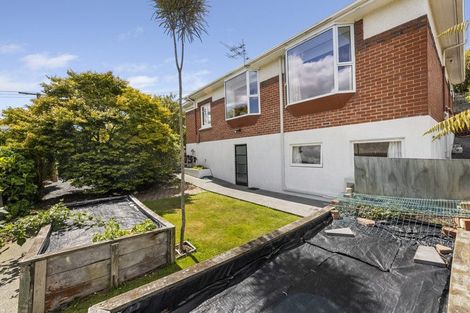 Photo of property in 28 Frame Street, North East Valley, Dunedin, 9010