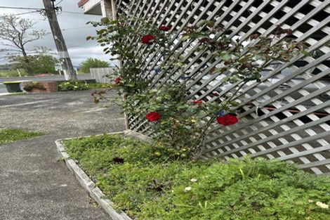 Photo of property in 247 Rodney Street, Wellsford, 0900