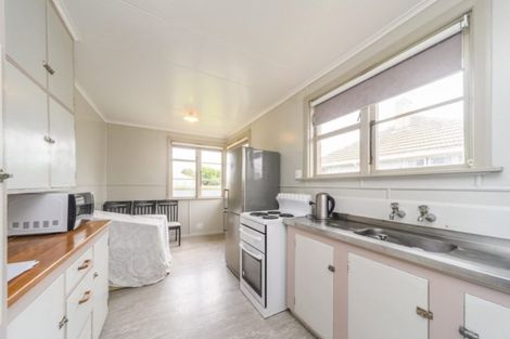 Photo of property in 117 Limbrick Street, Terrace End, Palmerston North, 4410