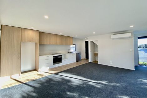 Photo of property in 1/386 Barrington Street, Spreydon, Christchurch, 8024