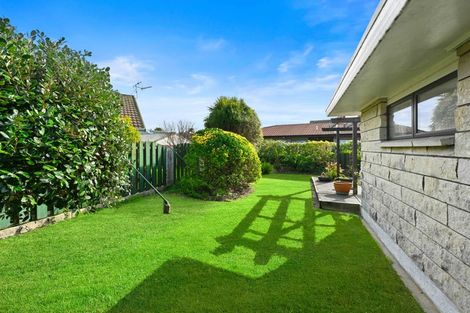 Photo of property in 28 Mcmeekan Avenue, Chartwell, Hamilton, 3210