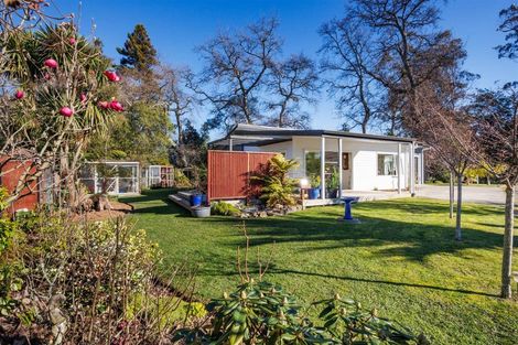 Photo of property in 10a Shelton Place, Marton, 4710