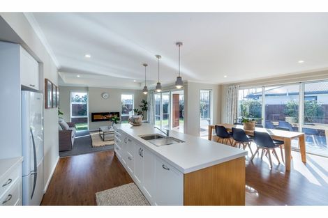 Photo of property in 117 Metehau Street, Marshland, Christchurch, 8083