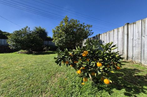 Photo of property in 11 Koromiko Drive, Coromandel, 3506