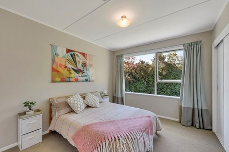 Photo of property in 10 Griffin Street, Richmond, 7020