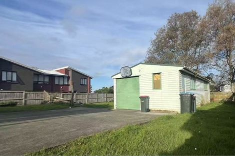 Photo of property in 61 Torino Street, Point England, Auckland, 1072