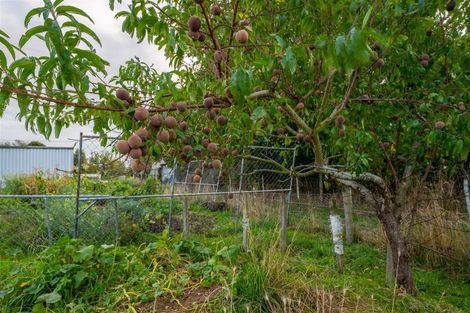 Photo of property in 7 Massey Street, Waimate, 7924
