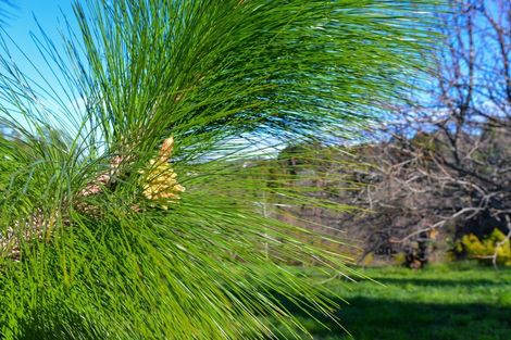 Photo of property in 81 Nilgiri Road, Poraiti, Napier, 4182