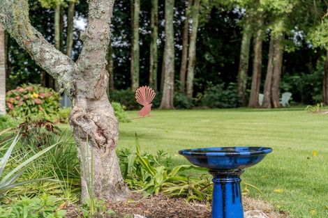 Photo of property in 44l Darwin Road, Kerikeri, 0230