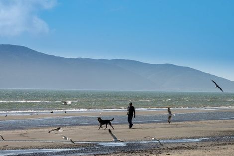 Photo of property in 33 Tainui Street, Raumati Beach, Paraparaumu, 5032