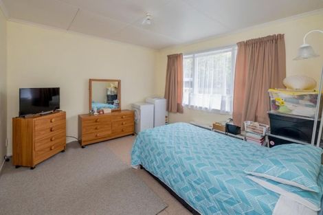 Photo of property in 145 Winchester Street, Levin, 5510