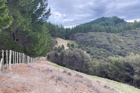 Photo of property in 1247 Wharekopae Road, Ngatapa, Gisborne, 4072