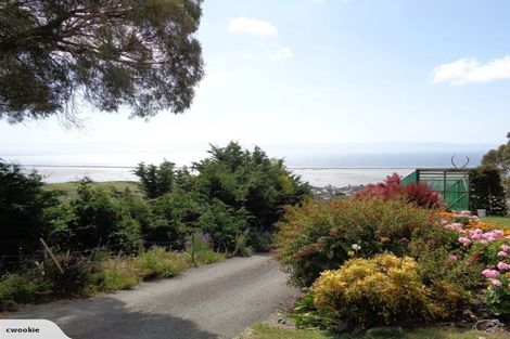 Photo of property in 141 Dodson Valley Road, Atawhai, Nelson, 7010