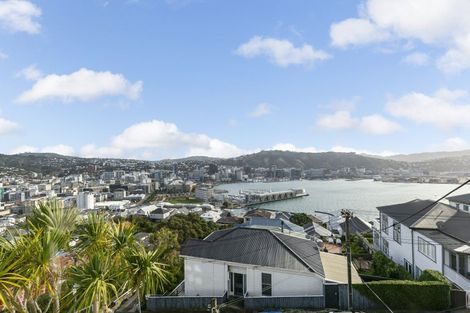 Photo of property in 19 Shannon Street, Mount Victoria, Wellington, 6011
