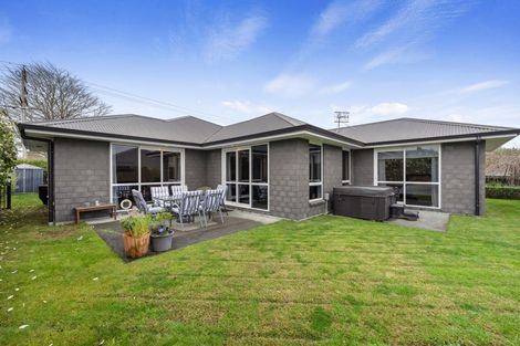 Photo of property in 8a No 2 Road, Te Puke, 3119