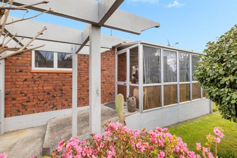 Photo of property in 151b Boucher Avenue, Te Puke, 3119