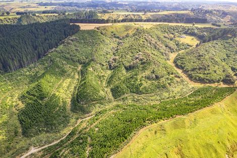 Photo of property in 306 Campbell Road, Brunswick, Whanganui, 4571