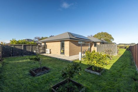 Photo of property in 17 Macdonald Heights, Feilding, 4702