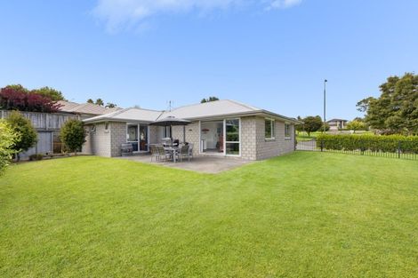 Photo of property in 128 Rowesdale Drive, Ohauiti, Tauranga, 3112