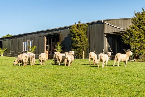 Photo of property in 168b Golden Stairs Road, Maungaturoto, 0589