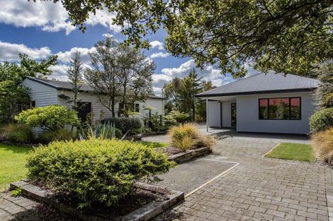 Photo of property in 19 Church Street, Rangiora, 7400